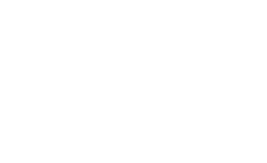 NATURAL STONE INSTITUTE