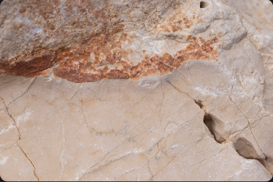 Captura de ecra 2026 04 13 094638